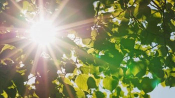 Фотография к новости: Ауа райы: 38 градус ыстық болады