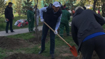 Фотография к новости: Экология министрі бастаған топ елордалық баулардың бірін тазартып, ағаш отырғызды 