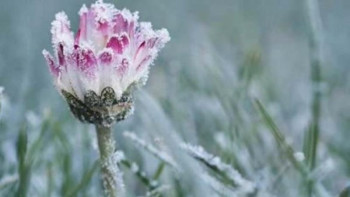 Фотография к новости: Еліміздің 5 облысында -3 градусқа дейін үсік жүреді