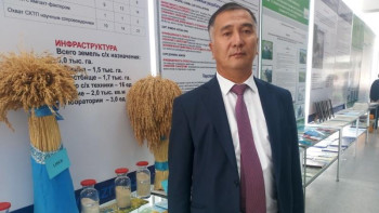 Фотография к новости: Қазақ ғалымдары күріштің жаңа түрін ойлап тапты