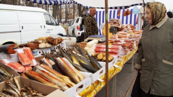 Фотография к новости: Елордада 45 тонна балық сатылады 