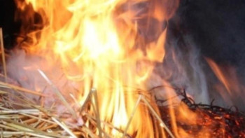 Фотография к новости: Павлодар облысында 13 тонна шөп жанып кетті