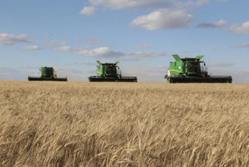 Фотография к новости: Қарағанды облысында егін жинау науқаны аяқталуға жақын