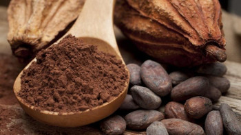 Фотография к новости: Перуде какао мерекесі тойланды 