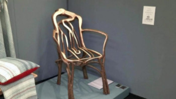 Фотография к новости: Британиялық фермер өсімдік бұтағынан жиһаз өсіруді қолға алды