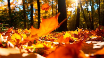 Фотография к новости: Еліміздің барлық өңірінде күн суытады