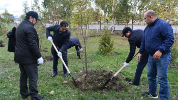 Фотография к новости: Ақмола облысында жемқорлықпен күресушілер ағаш отырғызды