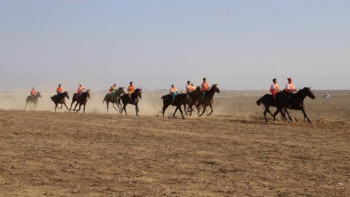 Фотография к новости: «Алтын тұлпар» – Жайық жағасында