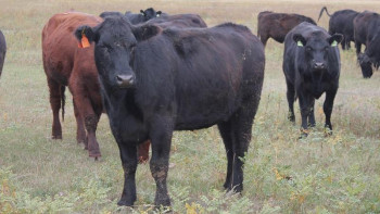 Фотография к новости: «Сыбағадан» сыбағасын алғандар