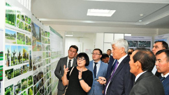 Фотография к новости: Алматы облысында жаңа көпірлер салынады