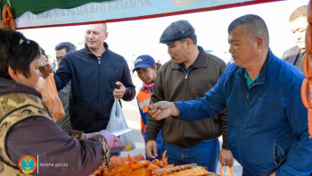 Фотография к новости: Елордада ауылшаруашылығы жәрмеңкесі өтеді 