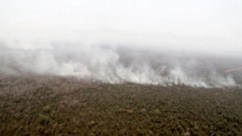 Фотография к новости: Амазон өзенінің Боливия жағалауында өрт өршіп тұр