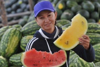 Фотография к новости: Павлодар облысында қарбыз фестивалі өтеді 