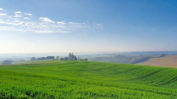 Фотография к новости: Түркістан облысында 3300 га жер мемлекетке қайтарылды