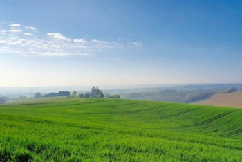 Фотография к новости: Түркістан облысында 3300 га жер мемлекетке қайтарылды