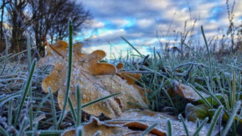 Фотография к новости: Еліміздің бірқатар өңірінде үсік жүреді