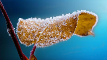 Фотография к новости: Еліміздің бірнеше облысында дабылды ескерту жарияланды 