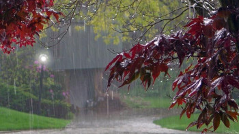 Фотография к новости: 29 қыркүйекке арналған ауа райы болжамы