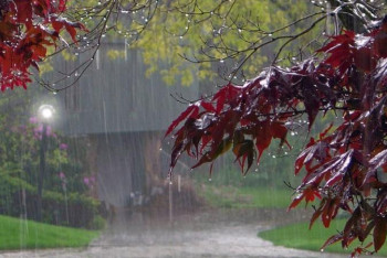 Фотография к новости: 29 қыркүйекке арналған ауа райы болжамы