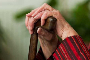 Фотография к новости: Жарты жыл бұрын із-түзсіз жоғалып кеткен зейнеткерді өлтірген қаскөй ұсталды