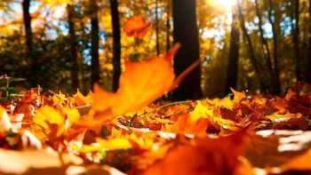 Фотография к новости: Қазан айында ауа райы қандай болады 