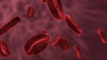 Фотография к новости: Жапон ғалымдары жасанды қан жасап шығарды