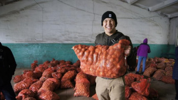 Фотография к новости: ҚазАТУ студенттеріне тегін картоп таратты