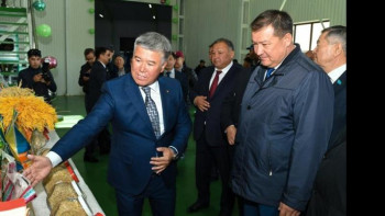 Фотография к новости: Қызылорда облысында күріш өңдейтін зауыт ашылды