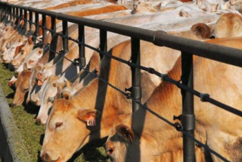 Фотография к новости: Депутат мал шаруашылығын субсидиялаудан бас тарту себебін сұрады