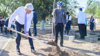 Фотография к новости: Алматы облысында 30 мыңнан астам ағаш отырғызылды