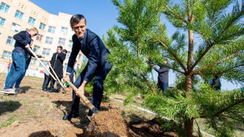 Фотография к новости: Экосағат. Әр адам жылына 14-тен астам ағаш отырғызу керек