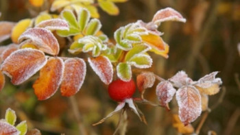 Фотография к новости: 4 қазанға арналған ауа райы болжамы