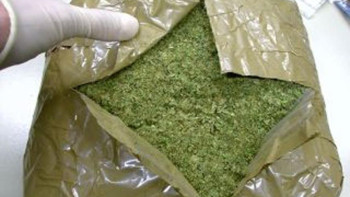 Фотография к новости: Тараз тұрғынынан бір келіден астам марихуана тәркіленді