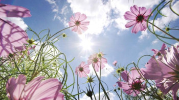 Фотография к новости: 5 қазанға арналған ауа райы болжамы