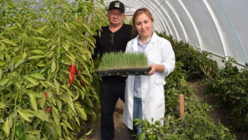 Фотография к новости: Шелек фермерлері жаңа органикалық егіншілік әдістерін игеруде
