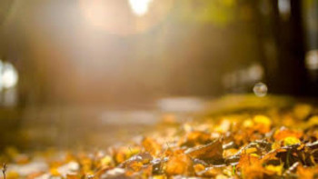 Фотография к новости: 6 қазанға арналған ауа райы болжамы