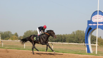 Фотография к новости: Алматы қаласы әкімінің кубогы «Желқабызға» бұйырды