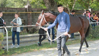 Фотография к новости: Көрмеге қатысушы жылқыларға қойылатын талаптар