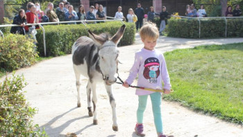 Фотография к новости: Жылқы көрмесінде бүлдіршіндерге де сыйлық жасалды
