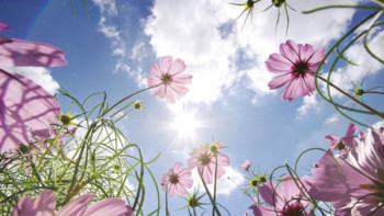 Фотография к новости: 7 қазанға арналған ауа райы болжамы