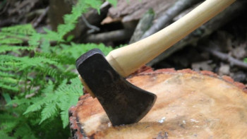 Фотография к новости: Бурабай ұлттық саябағында заңсыз ағаш кескендер ұсталды