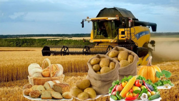 Фотография к новости:  Павлодар облысынан елордаға 500 тоннадан астам өнім әкелінеді 