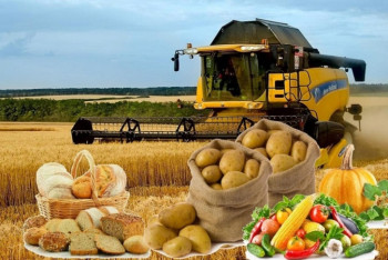 Фотография к новости:  Павлодар облысынан елордаға 500 тоннадан астам өнім әкелінеді 