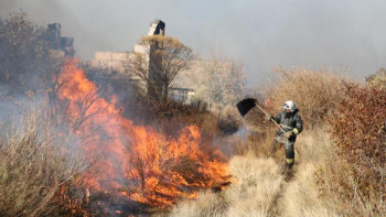 Фотография к новости: Қарағандыда саяжайлар өртенді