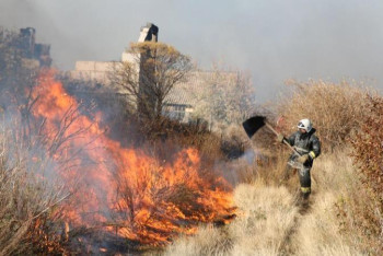 Фотография к новости: Қарағандыда саяжайлар өртенді