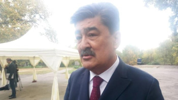 Фотография к новости: Сексеуілді қолданғандар жазаланады – экология вице-министрі