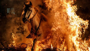 Фотография к новости: Павлодар облысында ауыл тұрғынының 4 тонна шөбі мен 9 жылқысы өртеніп кетті