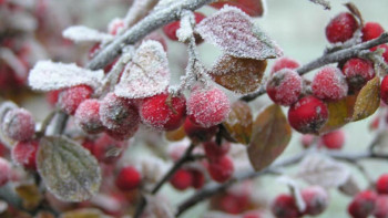 Фотография к новости: Үш облыста күн бұзылады