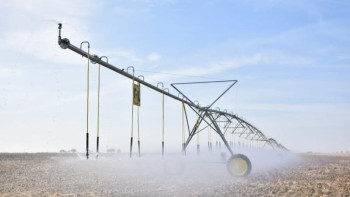 Фотография к новости: Түркістандық шаруалар жаңбырлатып суару тәсілін меңгеруде