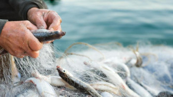 Фотография к новости: ﻿Алматы облысында табиғат қорғау заңнамасын бұзудың 70-ке жуық дерегі анықталды